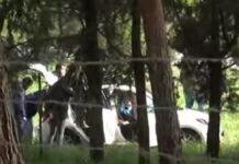 Θεσσαλονίκη – Μητροκτόνος : Της είπα δες κάτι, γύρισε και πυροβόλησα