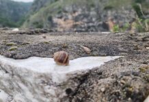 Καιρός Σήμερα : Βροχές και πτώση της θερμοκρασίας