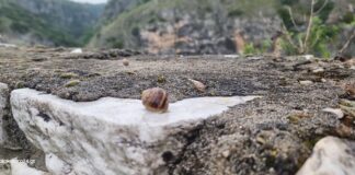 Με τι καιρό μας αποχαιρετά ο Μάης