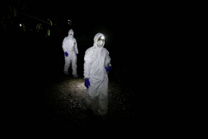 Field lab assistants wearing protective suits walk along a village road to collect bat specimens from a bat roost as they research the Nipah virus in the Shuvarampur area of Faridpur