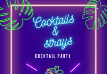 cocktail party στο Ωραιόκαστρο για τα αδέσποτα απο το Spectral