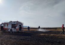 Ωραιόκαστρο: Η Εθ.Ελ.Ο.Δ Δρυμού πρόλαβε μεγάλη πυρκαγιά
