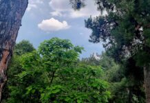 Καιρός σήμερα: Ζέστη, βροχές και νεφώσεις
