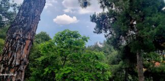 Καιρός σήμερα: Ζέστη, βροχές και νεφώσεις