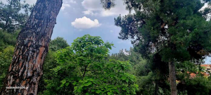 καιρος