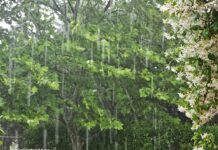 Μεταβολή του καιρού στη χώρα με βροχές και καταιγίδες