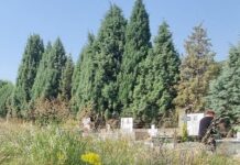 Ωραιόκαστρο: Και πάλι πνιγμένα στα χόρτα με κίνδυνο φιδιών τα κοιμητήρια Μονολόφου