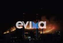 Εύβοια: Μεγάλη φωτιά – Ολονύχτια μάχη με τις φλόγες – Καίει σε δύσβατο σημείο, φωτο – βίντεο