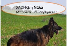 Ωραιόκαστρο: Χάθηκε η Νάλα – Μπορείτε να βοηθήσετε;