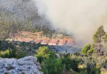 Φωτιές: Στα Δερβενοχώρια το μεγαλύτερο μέτωπο, κινείται προς Μαγούλα – Εικόνες και βίντεο από το σημείο