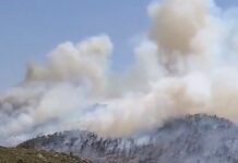 Live – Όλα τα μέτωπα: Σκληρή μάχη με τις φλόγες ανά την Ελλάδα