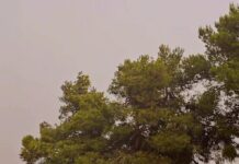 Προσοχή Ωραιόκαστρο: Τώρα δυνατός αέρας και κεραυνοί