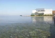 Θεσσαλονίκη: Έντονη δυσοσμία από το φυτοπλαγκτόν στο Θερμαϊκό