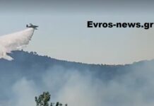 Συναγερμός για μεγάλη φωτιά στην Αλεξανδρούπολη – Σηκώθηκαν εναέρια μέσα