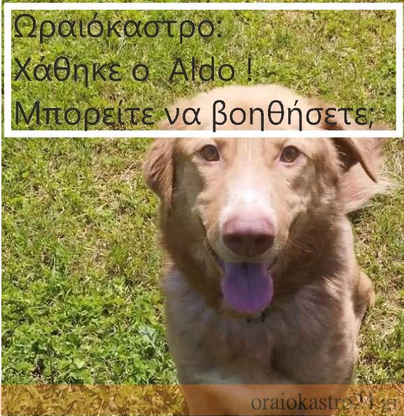 Στιγμιότυπο οθόνης 2023-08-24 113131
