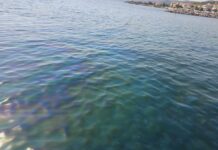 ΤΩΡΑ: Θαλάσσια ρύπανση στο 1ο πόδι Χαλκιδικής – Επί τόπου το λιμενικό, βίντεο