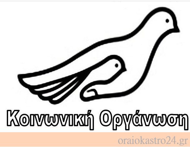 κοινωνικη οργανωση
