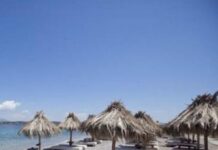 Χαλκιδική: Η απάντηση του beach bar : «Για τα παιδιά επιτρέπουμε τα πάντα – Η κυρία είχε φέρει παστίτσιο και έτρωγε με τον άνδρα της»