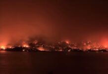 Ελλάδα: 63 πυρκαγιές σε ένα 24ωρο – Οι 10 μεγαλύτερες εστίες