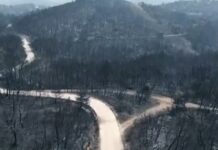 Φωτιά Αλεξανδρούπολη: «Μάχη» με τις φλόγες για 10η μέρα στον Έβρο – Εκκενώθηκαν οικισμοί