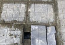 Απίστευτο: Εργάτες του δήμου Θεσσαλονίκης τσιμέντωσαν 5 γατάκια, βίντεο