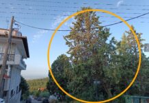 Ωραιόκαστρο: Αδιαφορία και στους πολίτες αλλά και στον κίνδυνο ατυχήματος ο δήμος