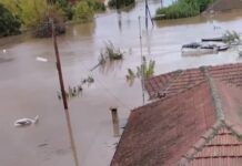 Καρδίτσα: Καλύφθηκαν ολόκληρα σπίτια απο το νερό – Άνθρωποι και ζώα πάνω σε σκεπές, βίντεο