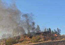 Φωτιά τώρα στη δυτική Θεσσαλονίκη