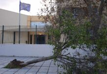 Ωραιόκαστρο: Πτώση δέντρου έξω απο σχολείο
