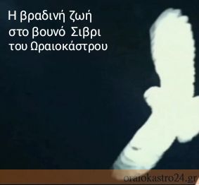 IMG_20231119_121639