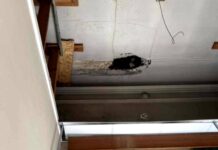 Θεσσαλονίκη: Άθλιες κτιριακές συνθήκες καταγγέλλουν οι εργαζόμενοι στο νοσοκομείο Άγιος Δημήτριος