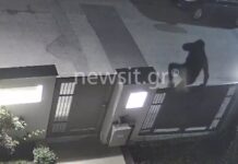 Ωραιόκαστρο: Προσπαθούν να μπουν σε μεζονέτα αλλά το βάζουν στα πόδια – Καρέ καρέ η απόπειρα διάρρηξης