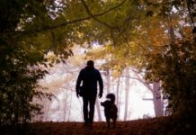 Οι κίνδυνοι που κρύβει το φθινόπωρο για τους σκύλους