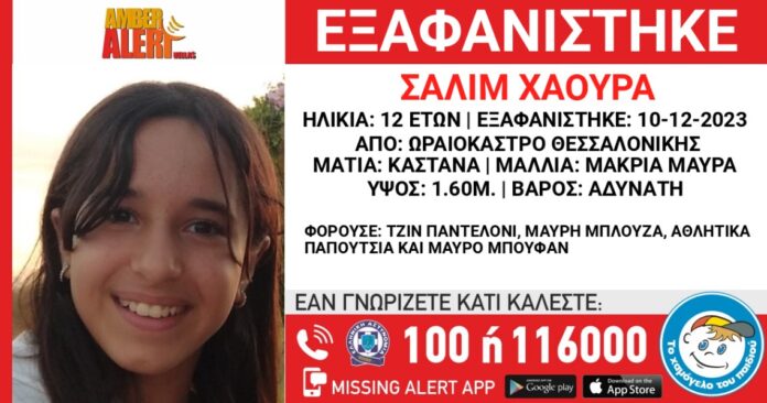 Στιγμιότυπο οθόνης 2023-12-11 181022