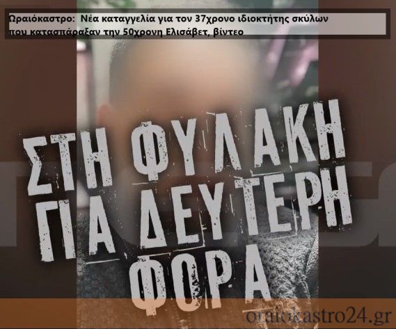 Στιγμιότυπο οθόνης 2023-12-15 175802