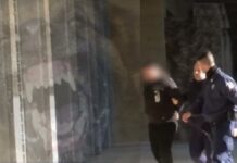 Ωραιόκαστρο : Για απόπειρα βιασμού κατηγορήθηκε ο ιδιοκτήτης σκυλιών που κατασπάραξαν την 50χρονη