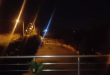 Σοκαριστικά τα στοιχεία για τον τραγικό θάνατο της Ελισάβετ – 3 σκυλιά την κατασπάραξαν κυριολεκτικά