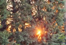 Καιρός: Εως τους 19 βαθμούς η θερμοκρασία