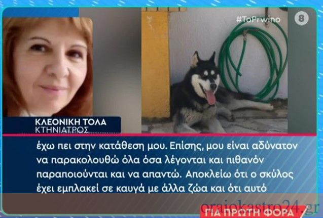 χασκι