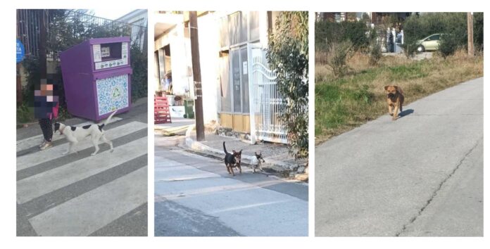 Χωρίς τίτλο