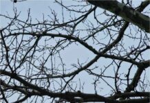 Καιρός: Bροχές και καταιγίδες σήμερα – Οι περιοχές που θα επηρεαστούν