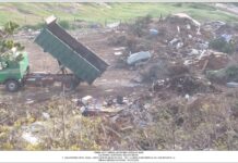 Θεσσαλονίκη: Στο Αυτόφωρο αντιδήμαρχος για ανεξέλεγκτες απορρίψεις αποβλήτων σε περιοχή NATURA