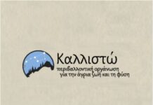 Γρεβενά: Νεκρή αρκούδα από δηλητηριασμένα δολώματα – Σκληρές εικόνες