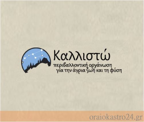kallisto