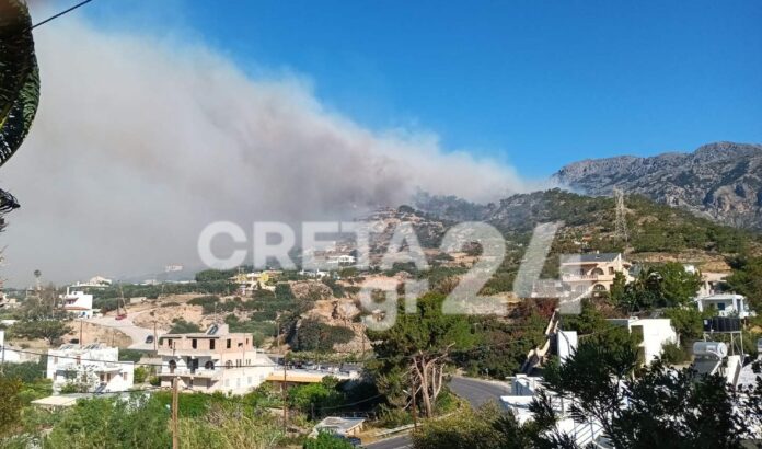 εικόνα_Viber_2024-04-06_09-14-57-1481