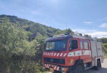 ΦΩΤΙΑ σε δασική περιοχή του Ωραιοκάστρου – Παρούσα η Εθ.Ελ.Ο.Δ Δρυμού