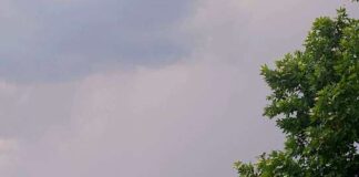 Ισχυροί Άνεμοι και Αφρικανική Σκόνη – Η Πρόβλεψη για σήμερα Τρίτη 12 Αυγούστου