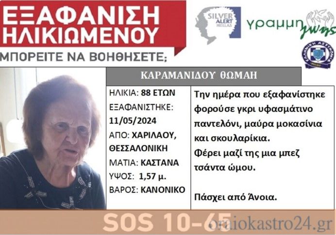 Στιγμιότυπο οθόνης 2024-05-13 162231