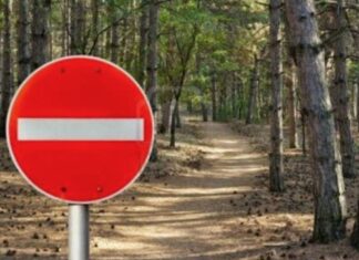 Απαγόρευση κυκλοφορίας στα δάση Θεσσαλονίκης, Ωραιοκάστρου, Θέρμης και Πανοράματος λόγω Κατηγορίας Κινδύνου 4 – Όλα τα μέτρα και τα σημεία μπλόκων