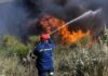 Τώρα: Φωτιά στο Ωραιόκαστρο – Υπό μερικό έλεγχο χάρη στην άμεση επέμβαση